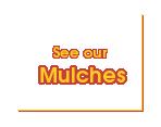 See our Mulches